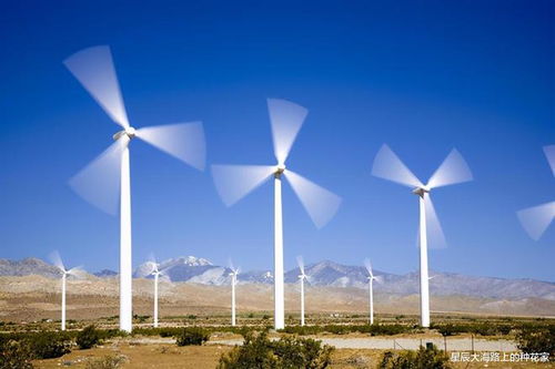 風車之辯 正視風力發電的利弊平衡